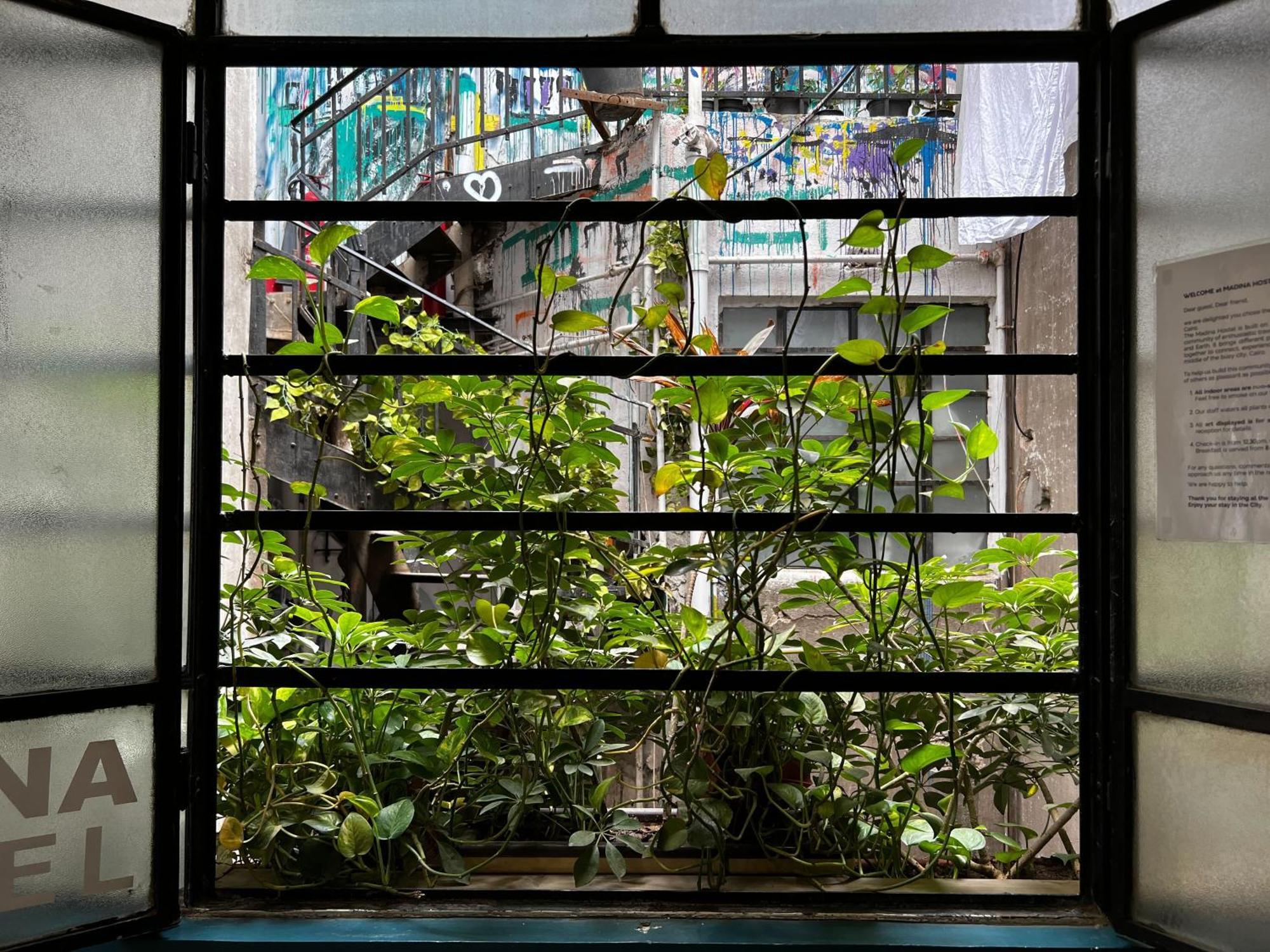 Madina Hostel Кайро Екстериор снимка